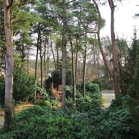 Kiefernblick-wedemann Bispingen