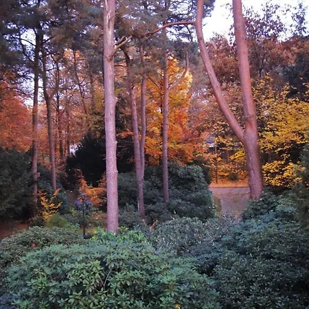 Kiefernblick-wedemann Appartement Bispingen